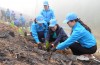 Phó Chủ tịch HĐND tỉnh Hà Nhật Lệ và lãnh đạo Liên đoàn Lao động tỉnh trồng cây tại xóm Thin Tẳng, xã Bình Dương (Hòa An).