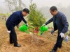 Phó Chủ tịch HĐND tỉnh Nông Thanh Tùng và Lãnh đạo huyện trồng cây  tại khu vực khuôn viên trụ sở Huyện ủy Hòa An