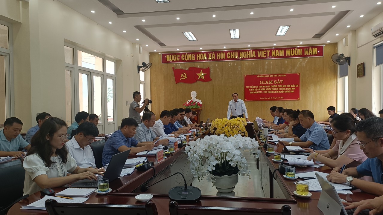 Phó Chủ tịch HĐND tỉnh Hoàng Văn Thạch phát biểu kết luận giám sát