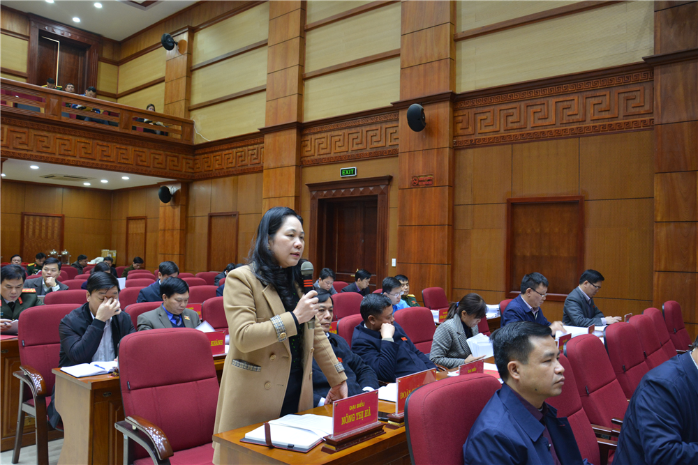 Đại biểu Nông Thị Hà đơn vị Quảng Hoà phát biểu thảo luận tại Hội trường