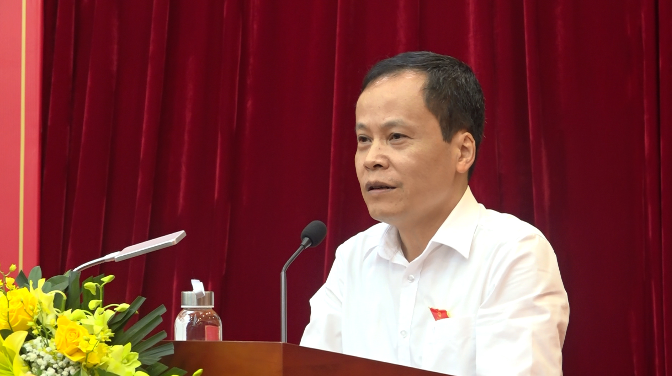 Phó Chủ tịch HĐND tỉnh Nông Thanh Tùng phát biểu tại Hội nghị TXCT