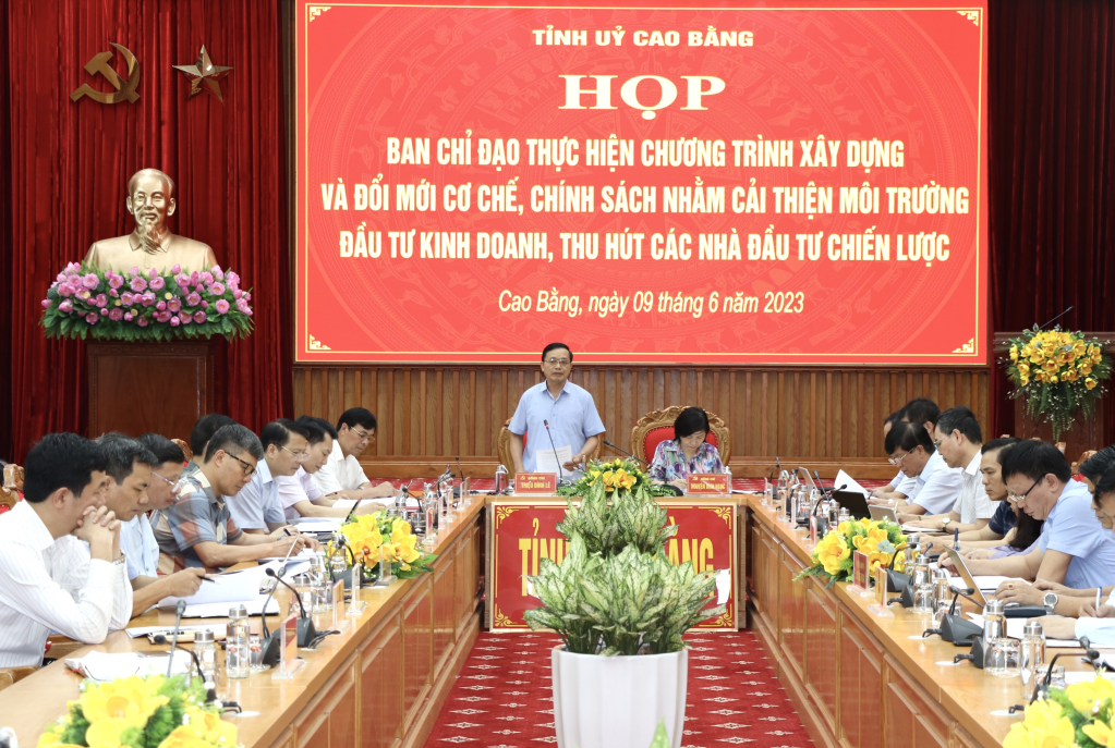Phó Bí thư Thường trực Tỉnh ủy, Chủ tịch HĐND tỉnh Triệu Đình Lê phát biểu tại cuộc họp (ảnh BCB).