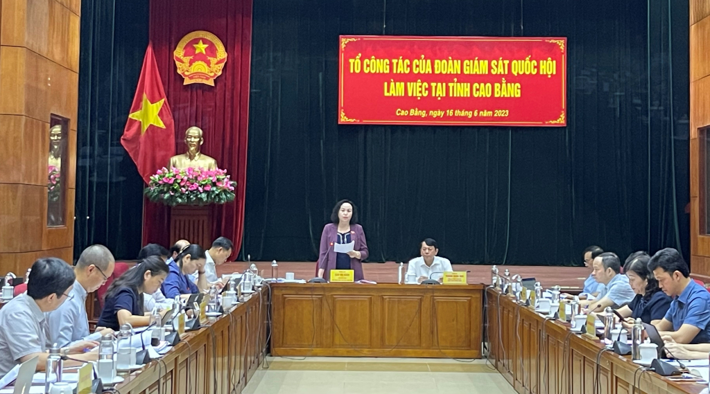 Phó Chủ tịch Hội đồng Dân tộc của Quốc hội Cao Thị Xuân phát biểu kết luận buổi làm việc.