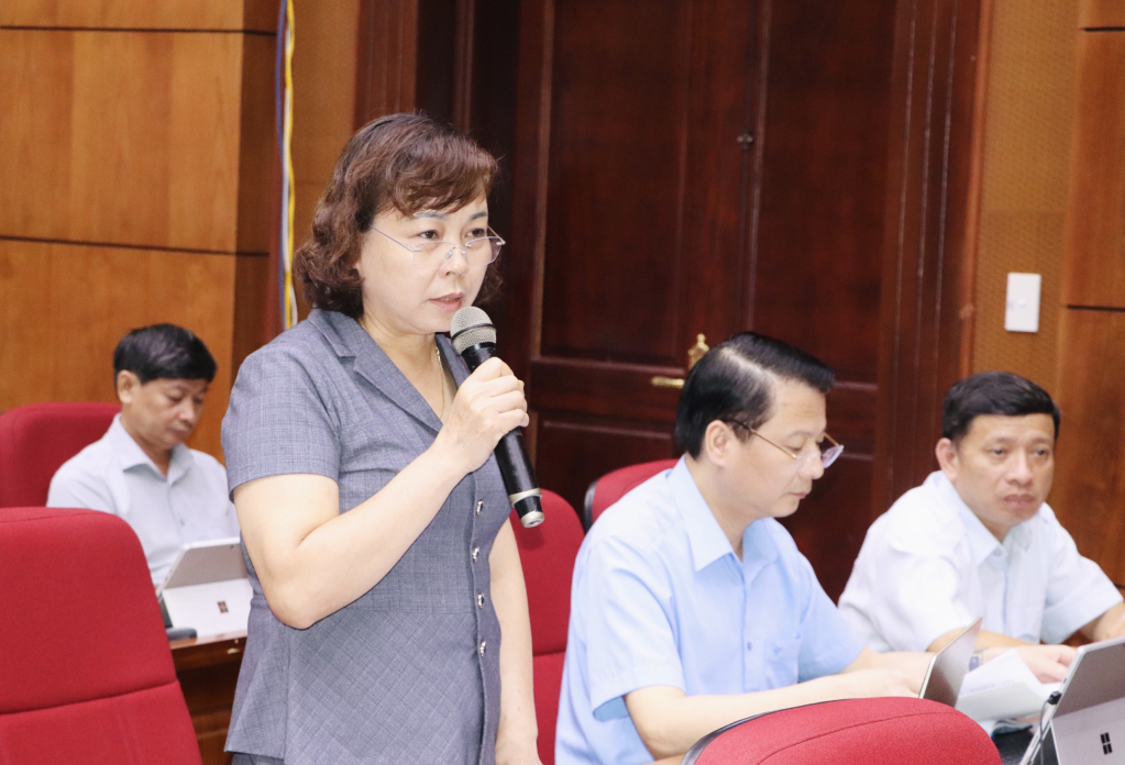 Giám đốc Sở Nội vụ Nguyễn Lâm Thị Tú Anh phát biểu
