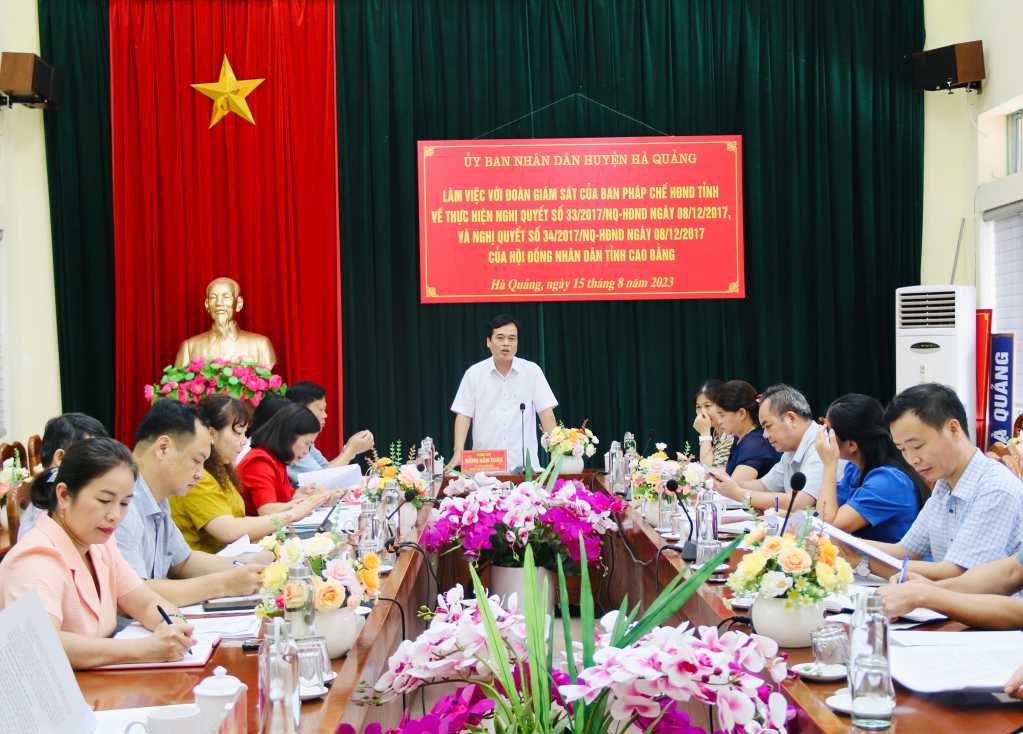 Trưởng Ban Pháp chế HĐND tỉnh Nông Văn Tuân phát biểu tại buổi giám sát.