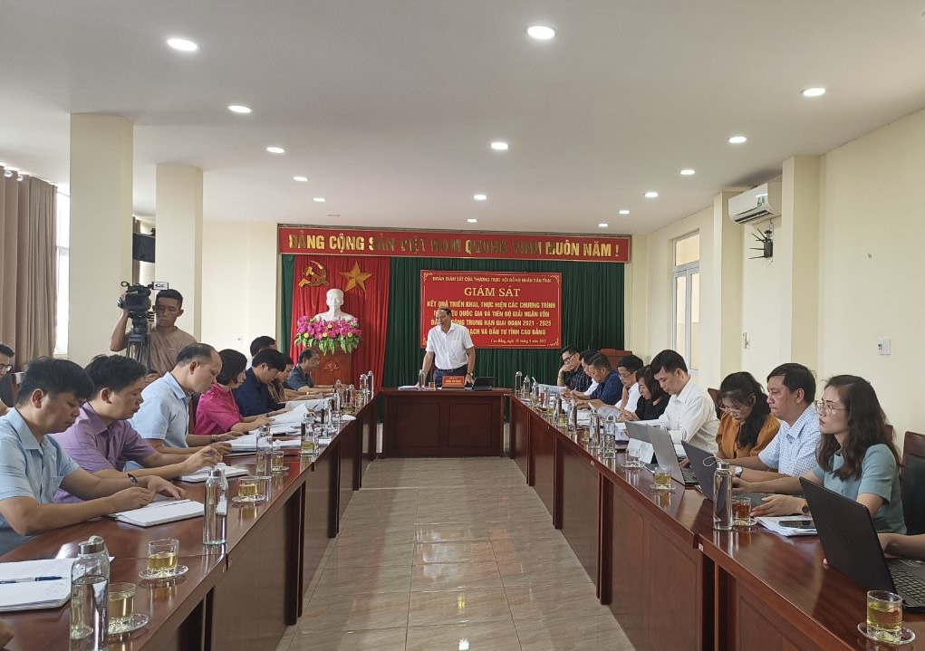 Phó Chủ tịch HĐND tỉnh Hoàng Văn Thạch phát biểu kết luận buổi làm việc