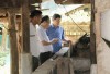 Đoàn giám sát Ban Kinh tế - Ngân sách HĐND tỉnh giám sát thực tế mô hình nuôi trâu vỗ béo tại xã Quang Vinh (Trùng Khánh).