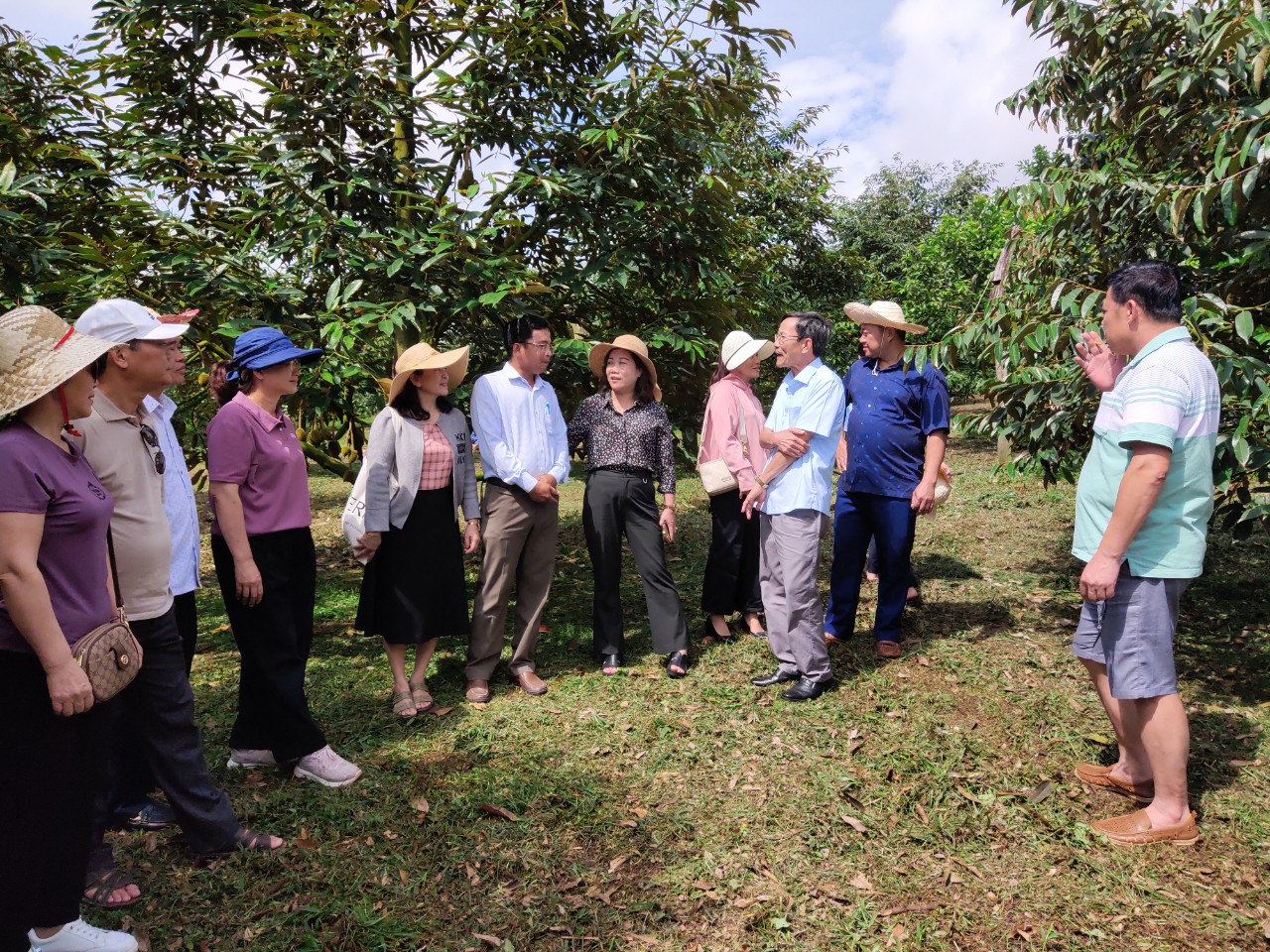 Đoàn công tác thăm mô hình kinh tế trang trại nông lâm tại xã Ea Ly